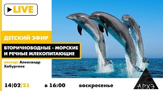 Детский эфир "Вторичноводные - морские и речные млекопитающие" рубрики "Путешествия с натуралистом"