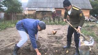 КавалЭри - Бульбокопи