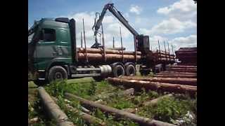 погрузка леса Volvo FH16-7