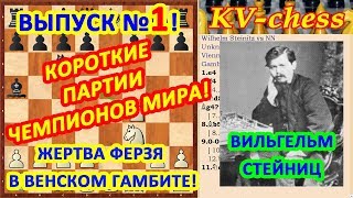 Вильгельм Стейниц ♔ Шахматные ловушки в дебюте ♕ Быстрый мат в шахматах