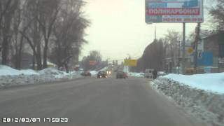 Олень за рулем Toyota Corolla
