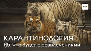 «Динамо» — ЦСКА, «Нашествие», шоу Запашных, Кристофер Нолан: где пройдут первые массовые мероприятия