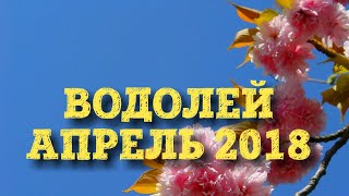 Гороскоп таро на апрель 2018. Водолей. Таро Hanson-Roberts.