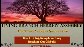 Don't Take Yahuah's Name in Vain