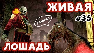Dead by daylight [Нарезка] #35