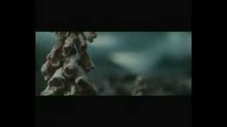 Harry potter Bring me to life amv
