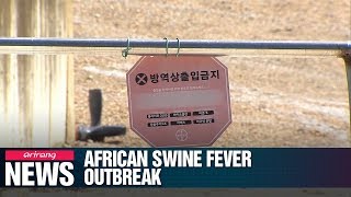 5th case of African swine fever confirmed in S. Korea