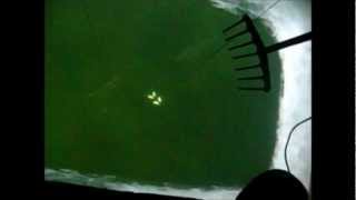 Darkhouse Spearing 10