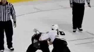 George Parros TKOs Riley Cote 2/02/2008