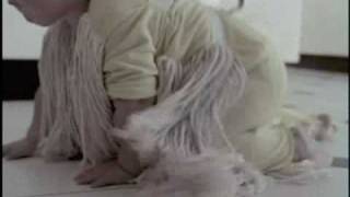 Kit Kat - Baby Mop
