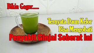 GEGER... !!! EFEK PALING PENTING DAUNKELOR UNTUK TUBUH YANG JARANG DIUNGKAP KE PUBLIK