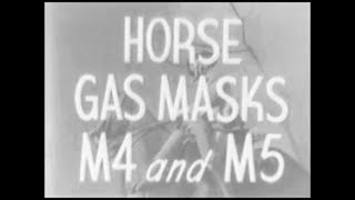 Horse Gas Masks US War Department 1942