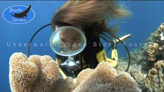 0526_Scuba diver girl underwater in slow motion, HD underwater video stock footage