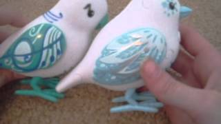 Little Live Pets Bird Review