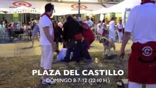 Pelea de perroflautas en Pamplona
