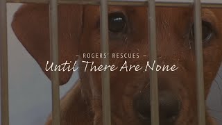Until There Are None | Dog Rescue Documentary