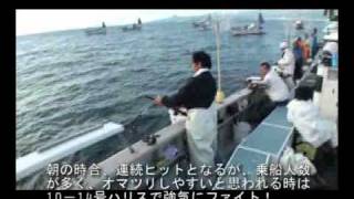 【つりそく.com 】静岡・初島沖ワラサが船中100尾超！