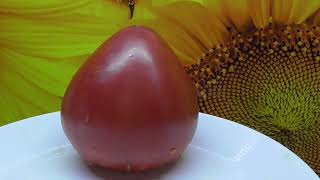 Томаты, проверенные временем. Томат Говядина с куста. Дегустация.
