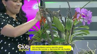 Las orquídeas son una buena opción para decoraciones de bodas