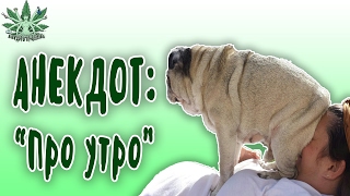 АНЕКДОТ С МАТАМИ  ПРО УТРО... Анекдоты свежие смешные