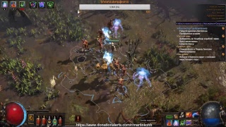 Path of Exile - Ведьма и её группа поддержки #19