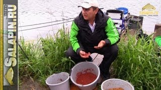 Мастер-класс по ловле карпа в Савельево. Подготовка. [salapinru]