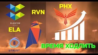 Биткойн снова застрял. Новости по Tether. RVN, PHX, ELA, UTK.