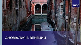 Отлив после наводнения: в Венеции снова аномалия