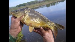 Ловля ГОРБАТЫХ карасей + бонус КАРП на донку - закидушки Full HD OnlyFishing рыбалка