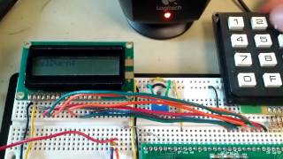 Cricket Call Generator