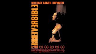 The longest and most brutal rape scene ever filmed:Irreversible analysis