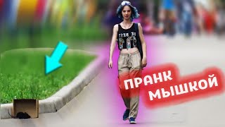 ПРАНК МЫШКОЙ на РАДИОУПРАВЛЕНИИ