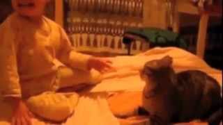 ВНИМАНИЕ родителям! Домашние животные - не игрушка.