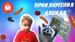 У ДАВИДА в ДОМЕ настоящий ЕНОТ! Кто Залез в холодильник?  ВИДЕО ДЛЯ ДЕТЕЙ