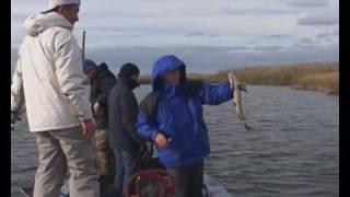 Команды DAIWA и NORSTREAM совместно тестируют спиннинги.