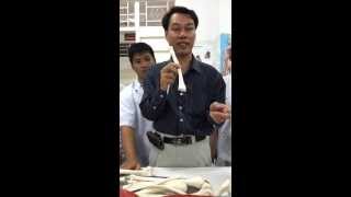 XƯƠNG CHI TRÊN - DƯỚI - ĐH Y K5 VTTU