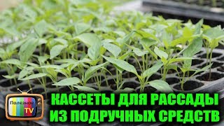 ОБАЛДЕННЫЕ БЕСПЛАТНЫЕ КАСЕТЫ ДЛЯ РАССАДЫ ИЗ ПОДРУЧНЫХ СРЕДСТВ