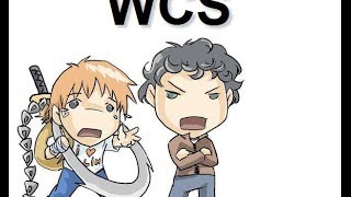 Обзор Севрера Wcs в css v34