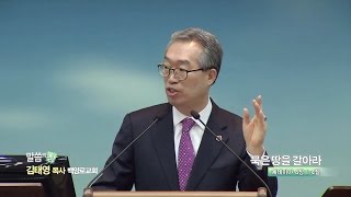 백양로교회 김태영 목사  - 묵은 땅을 갈아라