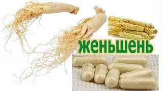 Корень женьшеня в капсулах из Тайланда, отзыв фармацевта о целебных свойствах препарата.