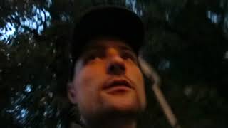 Венесуэла - Аргентина прогноз железный 28.06.19 песня реп вован космос Лев дал прогноз