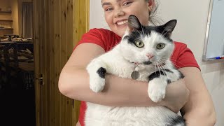 Broccoli-loving obese cat struggles to lose weight