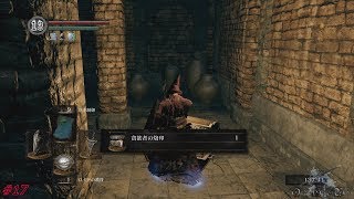 【PS4 Pro】DARK SOULS REMASTERED - #17 火継ぎの祭祀場～センの古城（アイテム全回収）
