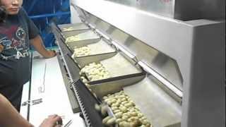 High-End Intelligent CCD Peanut Color Sorter in Taiwan-Email: smarthonesty@yahoo.com