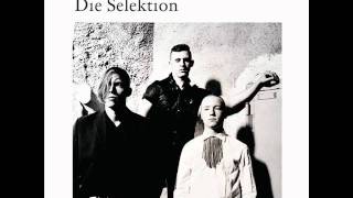 Die Selektion // Puppenspieler