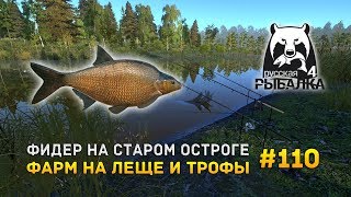 Русская Рыбалка 4 #110 - Фидер на Старом Остроге. Фарм на леще и трофы