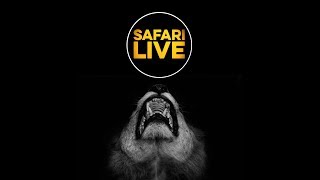 safariLIVE - Sunset Safari - March 21, 2018