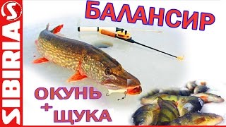 Ловля щуки и окуня на балансир. Секреты ловли на Красноярском водохранилище (Бирюсинский залив)