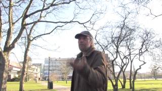 KNARK GUBBE HETSAR