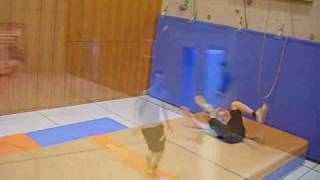 TRAMPOLIN THUSIS 2008